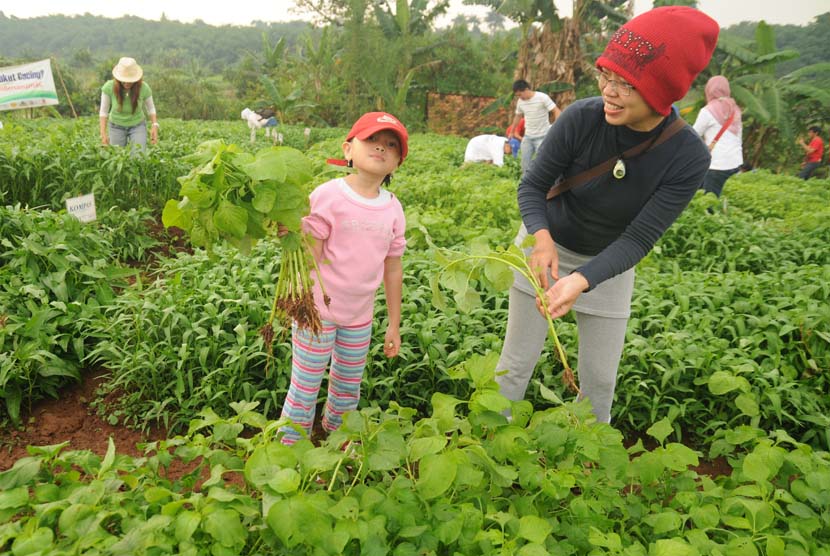 Mengapa Negara Maju Kini Mendorong Anak Belajar Berkebun di Sekolah?